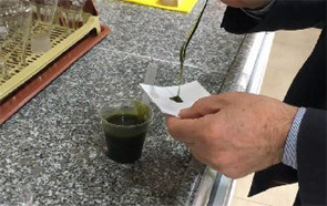 アレッポの石鹸の原料検査